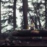 023 1968 long lake camping trip mom dad _amp_ greg023