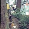 024 1968 long lake camping trip mom dad _amp_ greg024