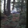 033 1968 long lake camping trip mom dad _amp_ greg033