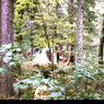 041 1968 long lake camping trip mom dad _amp_ greg041