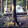 044 1968 long lake camping trip mom dad _amp_ greg044