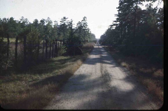 001 Pine ave 1946001