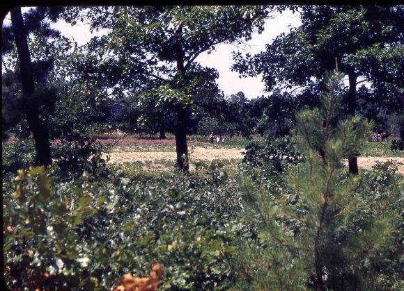015  molnar farm  july 1953 family015