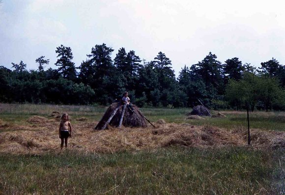 017  molnar farm  july 1953 family017