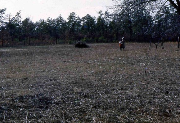 020  molnar farm april 1954 family020