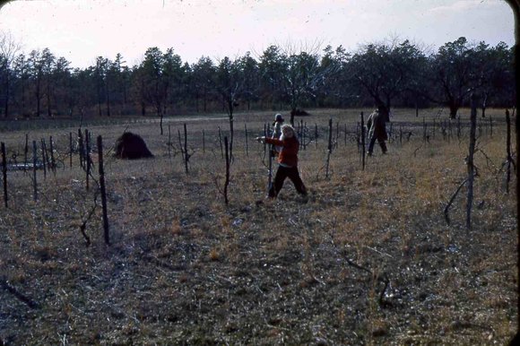 023  molnar farm april 1954 family023