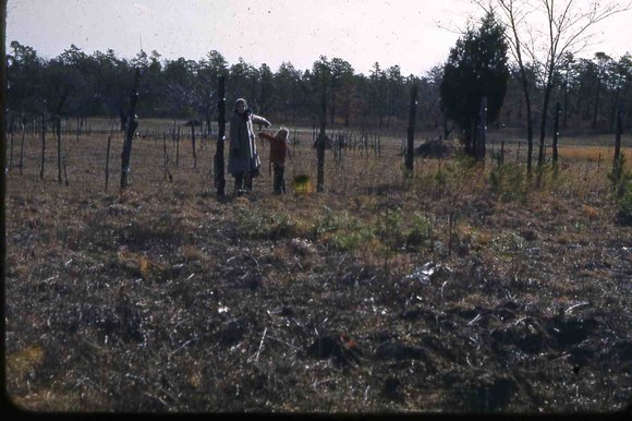 024  molnar farm april 1954 family024