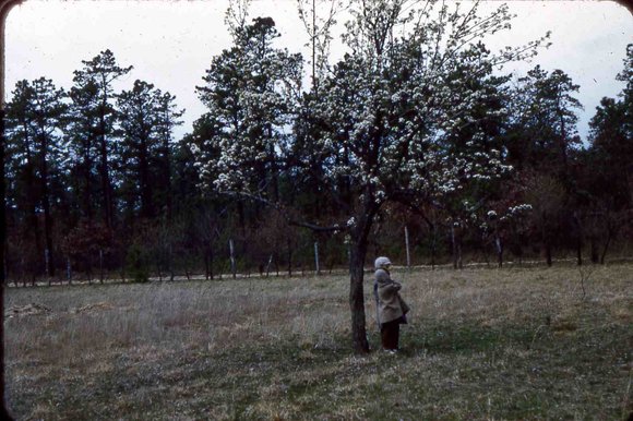 025  molnar farm april 1954 family025