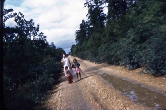 031  molnar farm Family 1954031