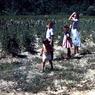 033  molnar farm Family 1954033