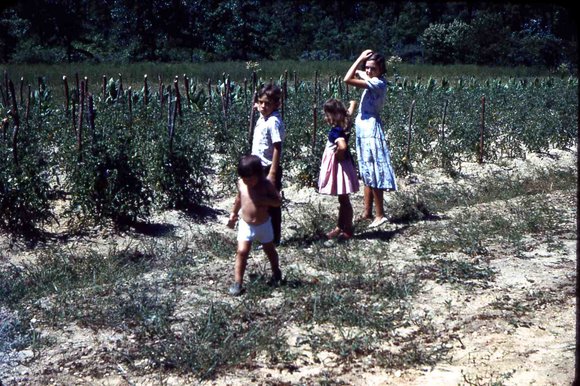 033  molnar farm Family 1954033