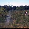 034  molnar farm Family 1954034