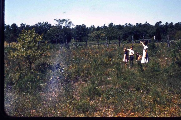 034  molnar farm Family 1954034
