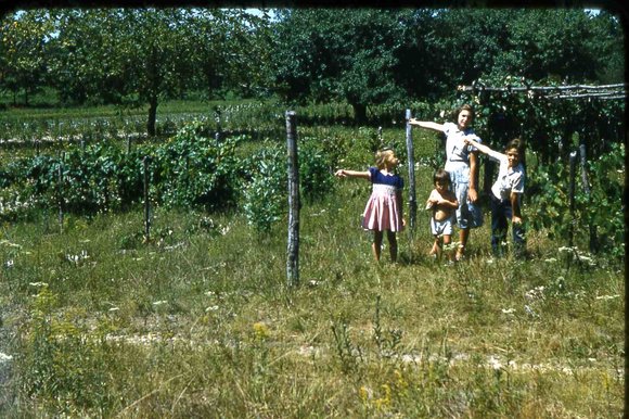 038 molnar farm  family 1954038