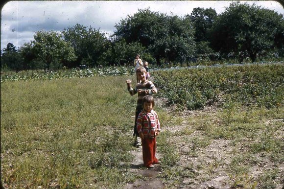 039 molnar farm  family 1954039