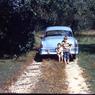 040 molnar farm  family 1954040
