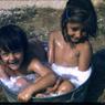 046 molnar farm  family summer 1955  046