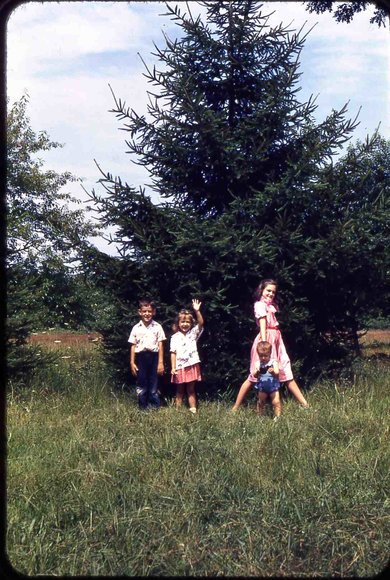 048 molnar farm  family  summer 1955  048