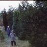 051 molnar farm  family  summer 1955  051