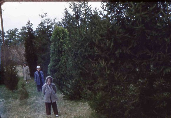 051 molnar farm  family  summer 1955  051