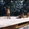053  molnar farm  family  summer 1955  053