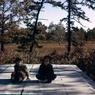 059 molnar farm  family  fall 1955  059