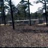 062  molnar farm  family  spring  1956  062