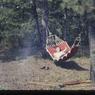 072     molnar farm circa  1958 072