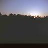 080   molnar farm circa  1959 080