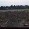 082 molnar farm circa  1959 082