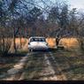083 molnar farm circa  1960083
