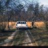 084 molnar farm circa  1960084