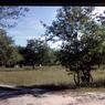 089  molnar farm  1962 089