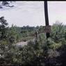 090  molnar farm  1962 090