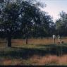 093 molnar farm  1963 093