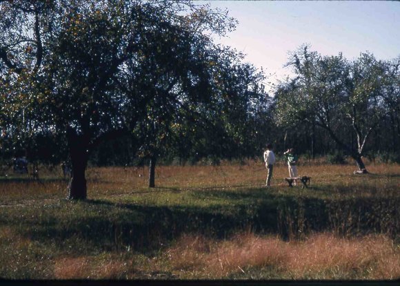 093 molnar farm  1963 093