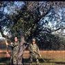 096 molnar farm  1963 096_001
