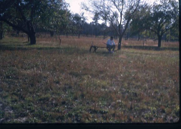 100 molnar farm  1963 100
