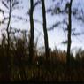 103 molnar farm  1963 103
