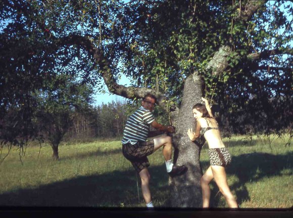 107 molnar farm  1963 107