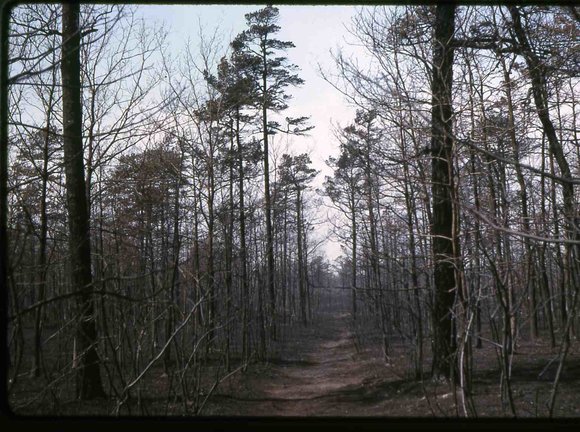 110 molnar farm  1963 110