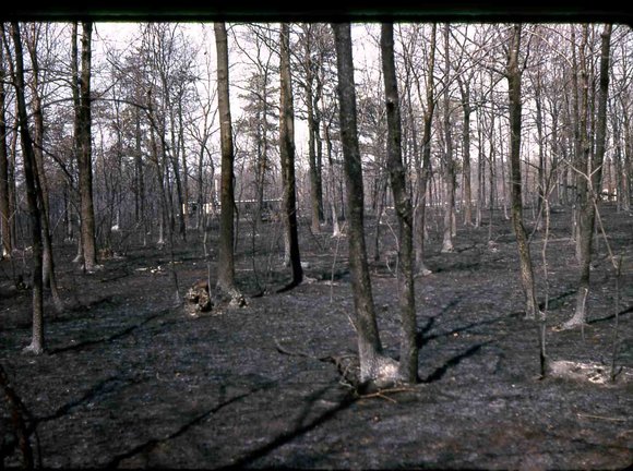 111 molnar farm  1963 111