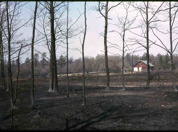 114 molnar farm  1963 114