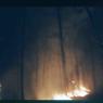 117 molnar farm Fire april 29  1963 117
