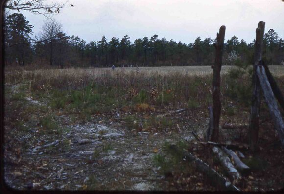 119 molnar farm   1963 119