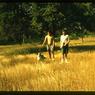 122 molnar farm   1965 122
