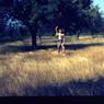 123 molnar farm   1965 123