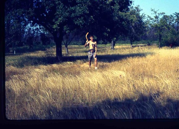 123 molnar farm   1965 123