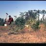 124 molnar farm   1965 124