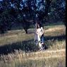 126 molnar farm   1965 126